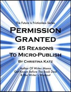 Permission Granted, 45 Reasons To Micro-publish By Christina Katz