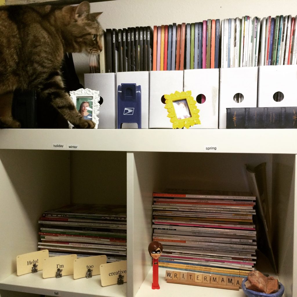 Christina Katz' closet magazine storage with kitty cameo