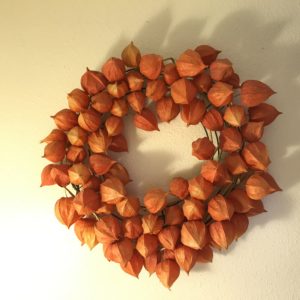 Chinese Lantern Wreath - Physalis Alkekengi